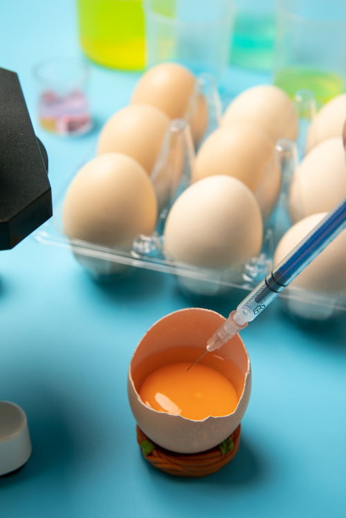 開殼雞蛋食品安全農業(yè)科技食品培育攝影圖 插畫 下載至來源處